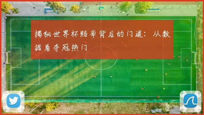 揭秘世界杯赔率背后的门道：从数据看夺冠热门