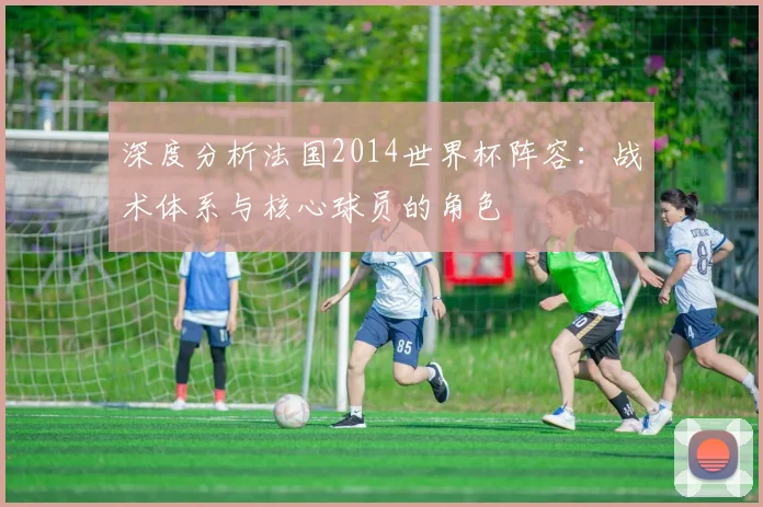 深度分析法国2014世界杯阵容：战术体系与核心球员的角色