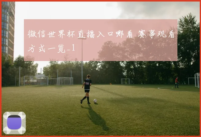 微信世界杯直播入口哪看 赛事观看方式一览_1