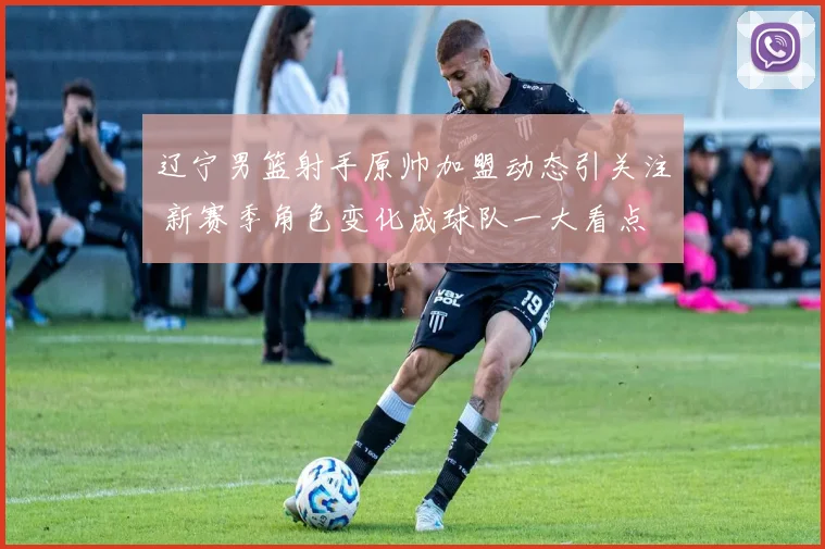 辽宁男篮射手原帅加盟动态引关注 新赛季角色变化成球队一大看点