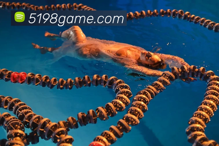 华会体育官网平台生态图